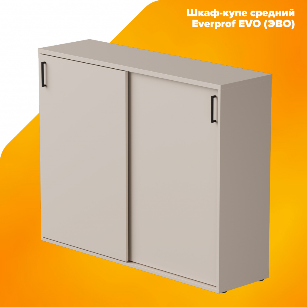 Шкаф-купе средний Everprof EVO (ЭВО) Шкаф-купе средний Everprof EVO (ЭВО)